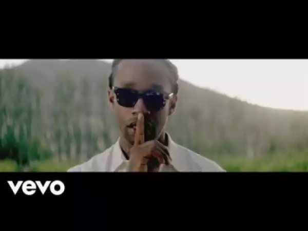 Video: Afrojack Ft. Ty Dolla Sign - Gone